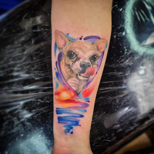 Find unique best friend tattoo ideas for your next unique tattoo in Kenosha at Kenosha Tattoo Company