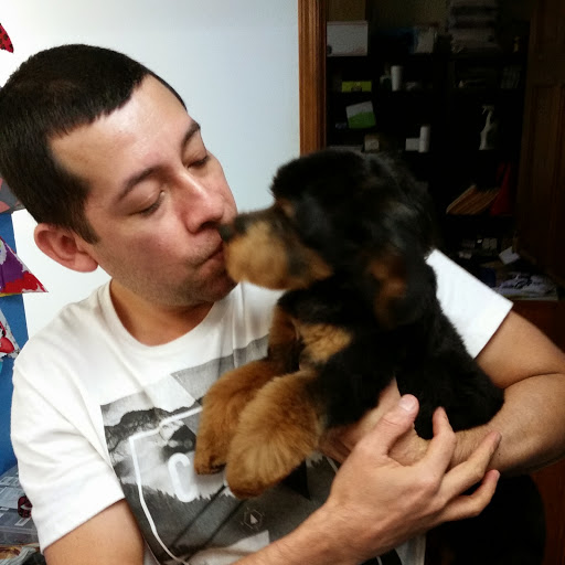 Pet Groomer «Pause 4 Paws Pet Grooming And Hotel», reviews and photos, 3770 W County Line Rd, Douglasville, GA 30135, USA