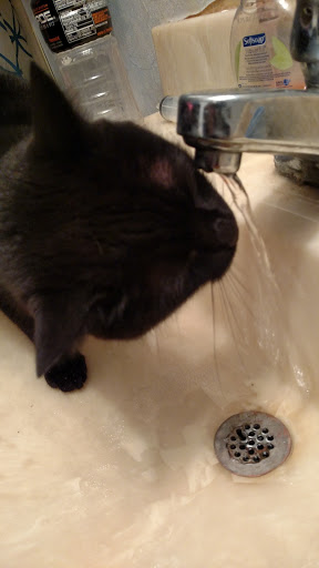 Grocery Store «Kroger», reviews and photos, 4400 Brownsville Rd, Powder Springs, GA 30127, USA