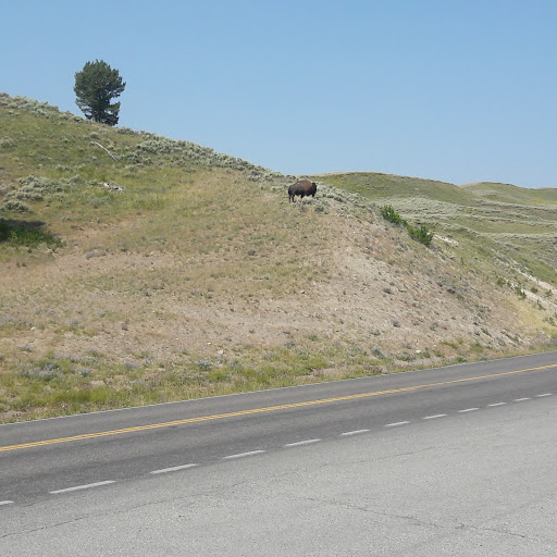 Cafe «The Good Harvest Cafe», reviews and photos, 575 US Hwy 101 S, Crescent City, CA 95531, USA