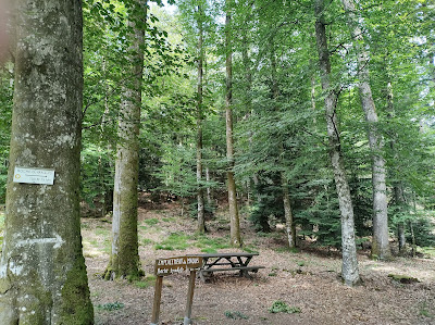 maquis de grandrupt à La Haye