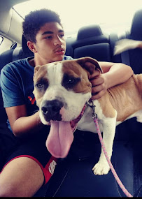 Furever Rides & Pet Services - Photo 8 - Car repair in Phoenix, AZ, Phoenix