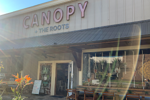 Canopy + the Roots Coffee image