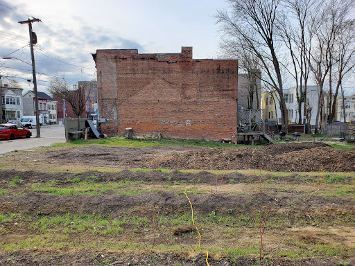 Albany Victory Gardens image 7