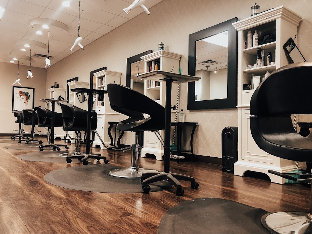 Balayage Spa and Salon 80525