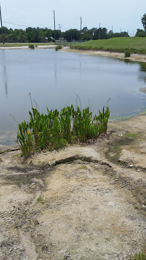 Golf Course «Buffalo Creek Golf Course», reviews and photos, 8100 69th St E, Palmetto, FL 34221, USA