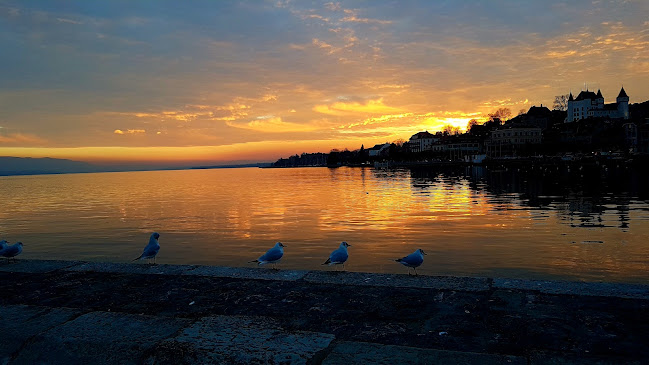 Buvette de la Patinoire de Nyon