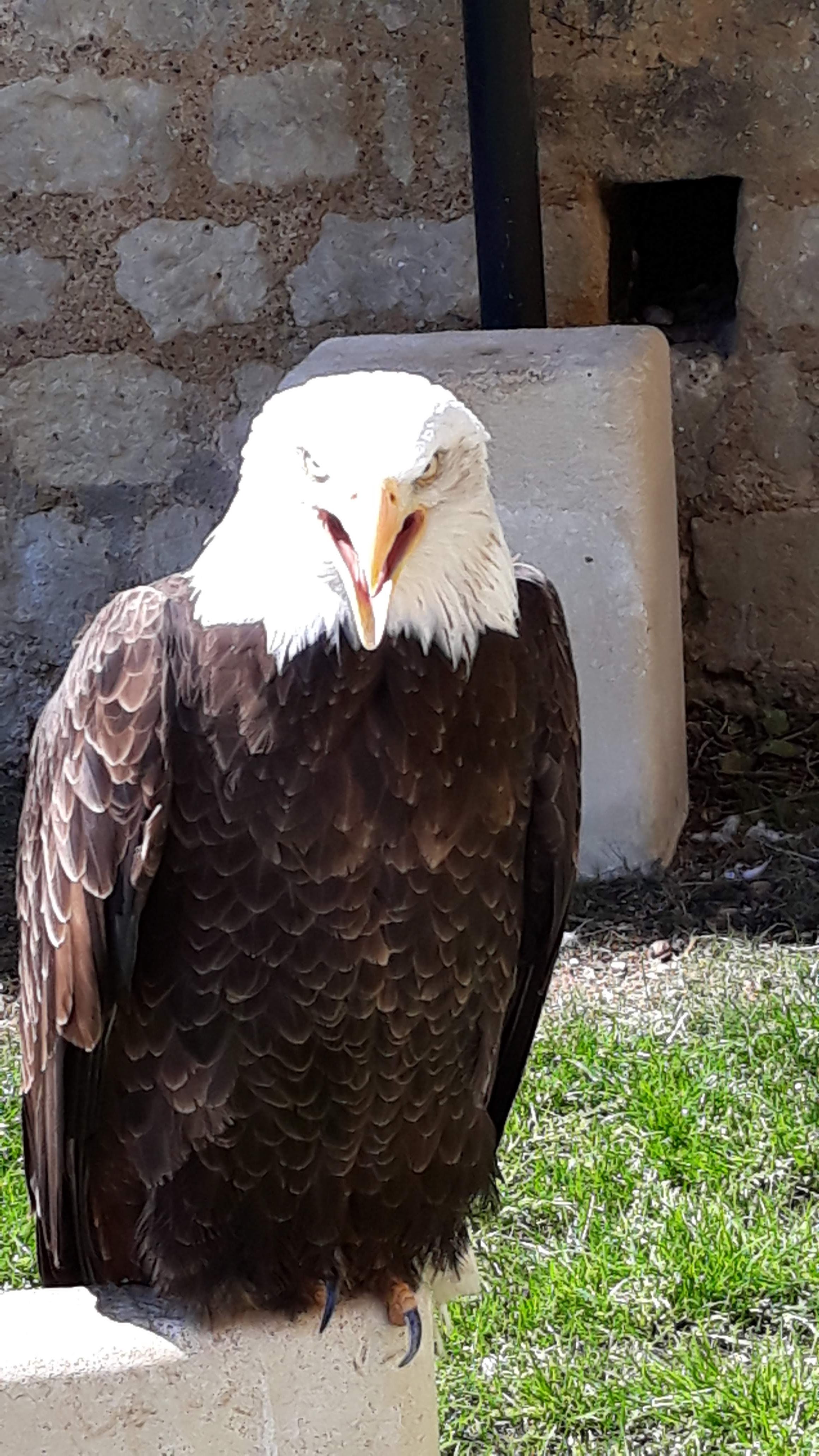 Photo n° 1 de l'avis de Freddy.e fait le 18/04/2019 à 19:39