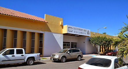 Colegio de Ingenieros Civiles de Baja California Sur