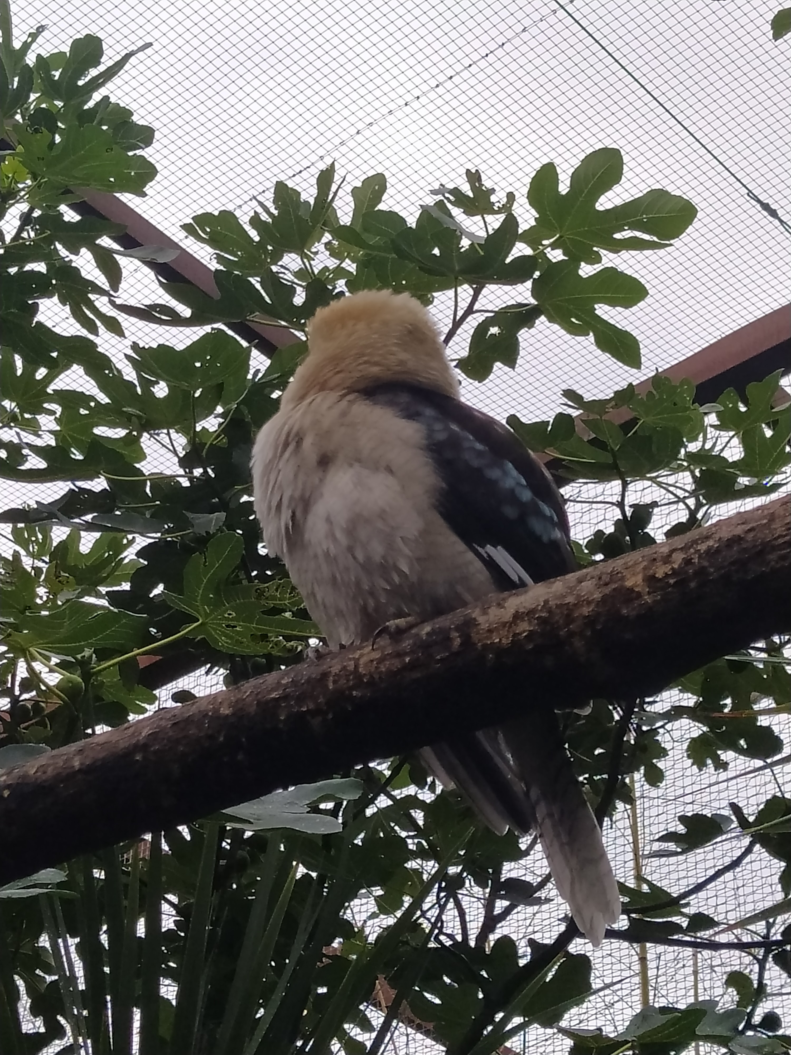 Photo n° 2 de l'avis de Raphael.. fait le 27/08/2023 à 16:43