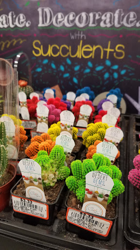 Home Improvement Store «The Home Depot», reviews and photos, 300 Clarks Pond Pkwy, South Portland, ME 04106, USA