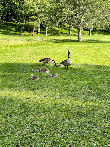 Golf Course «Riverside Municipal Golf Course», reviews and photos, 1158 Riverside St, Portland, ME 04103, USA