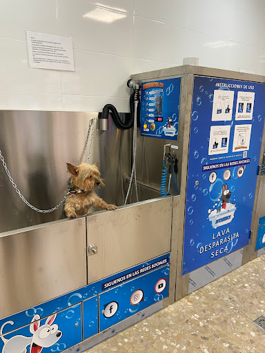 Crisal Auto lavado de mascotas, perros y gatos
