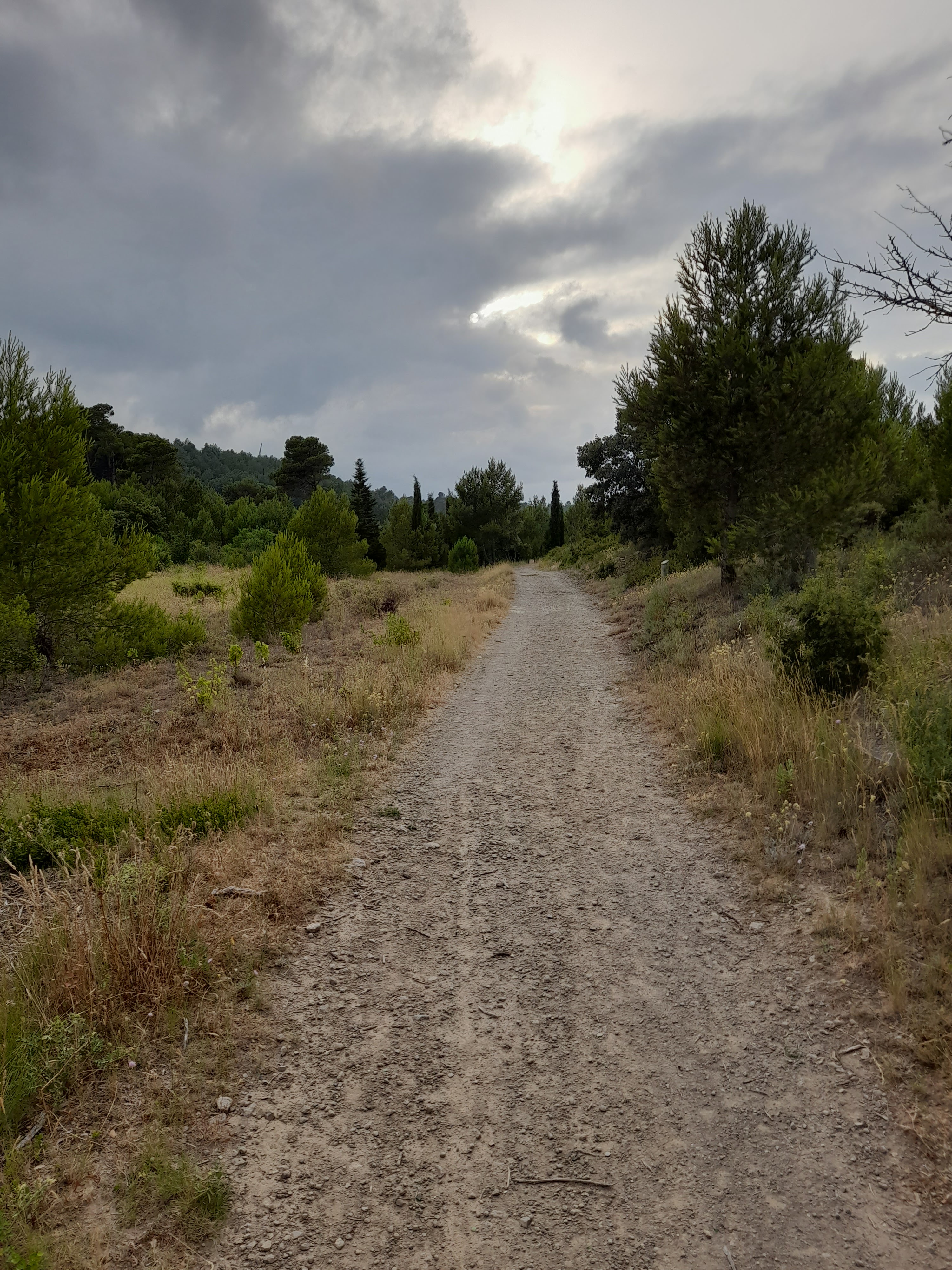 Photo n° 12 de l'avis de Bilbon.A fait le 20/06/2022 à 20:00