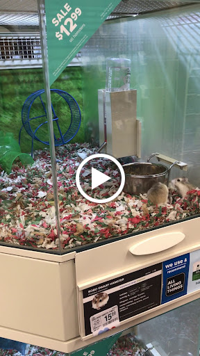 Pet Supply Store «PetSmart», reviews and photos, 19075 Interstate 45 S, Shenandoah, TX 77385, USA