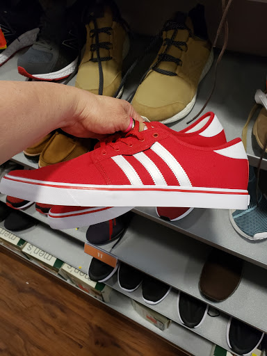 Outdoor Sports Store «Sierra Trading Post», reviews and photos, 20393 N Rand Rd Suite 108, Kildeer, IL 60074, USA