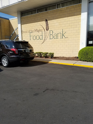 Food Bank «Bread of the Mighty Food Bank», reviews and photos