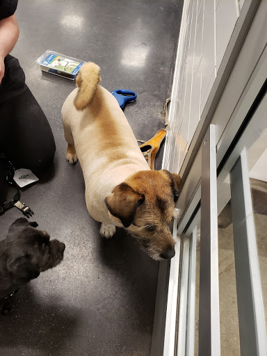 Pet Store «PetSmart», reviews and photos, 1606 E Empire St, Bloomington, IL 61701, USA