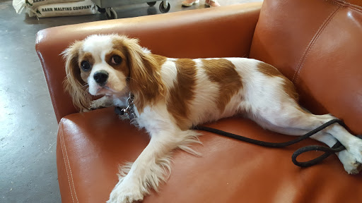 Brewery «Southern Brewing & Winemaking», reviews and photos, 4500 N Nebraska Ave, Tampa, FL 33603, USA