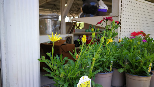 Grocery Store «Diamond Fresh Farmers Market», reviews and photos, 21168 Golden Springs Dr, Walnut, CA 91789, USA