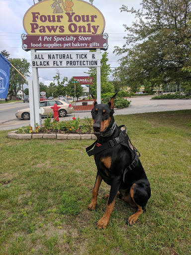 Pet Supply Store «Four Your Paws Only», reviews and photos, 1821 White Mountain Hwy, North Conway, NH 03860, USA
