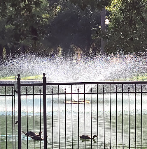 Park «Riverside Park», reviews and photos, 753 Park St, Jacksonville, FL 32204, USA