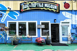 Bug & Reptile Museum