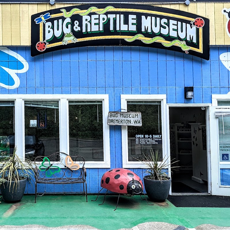 Bug & Reptile Museum