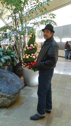 Department Store «JCPenney», reviews and photos, 63 Serramonte Center, Daly City, CA 94015, USA