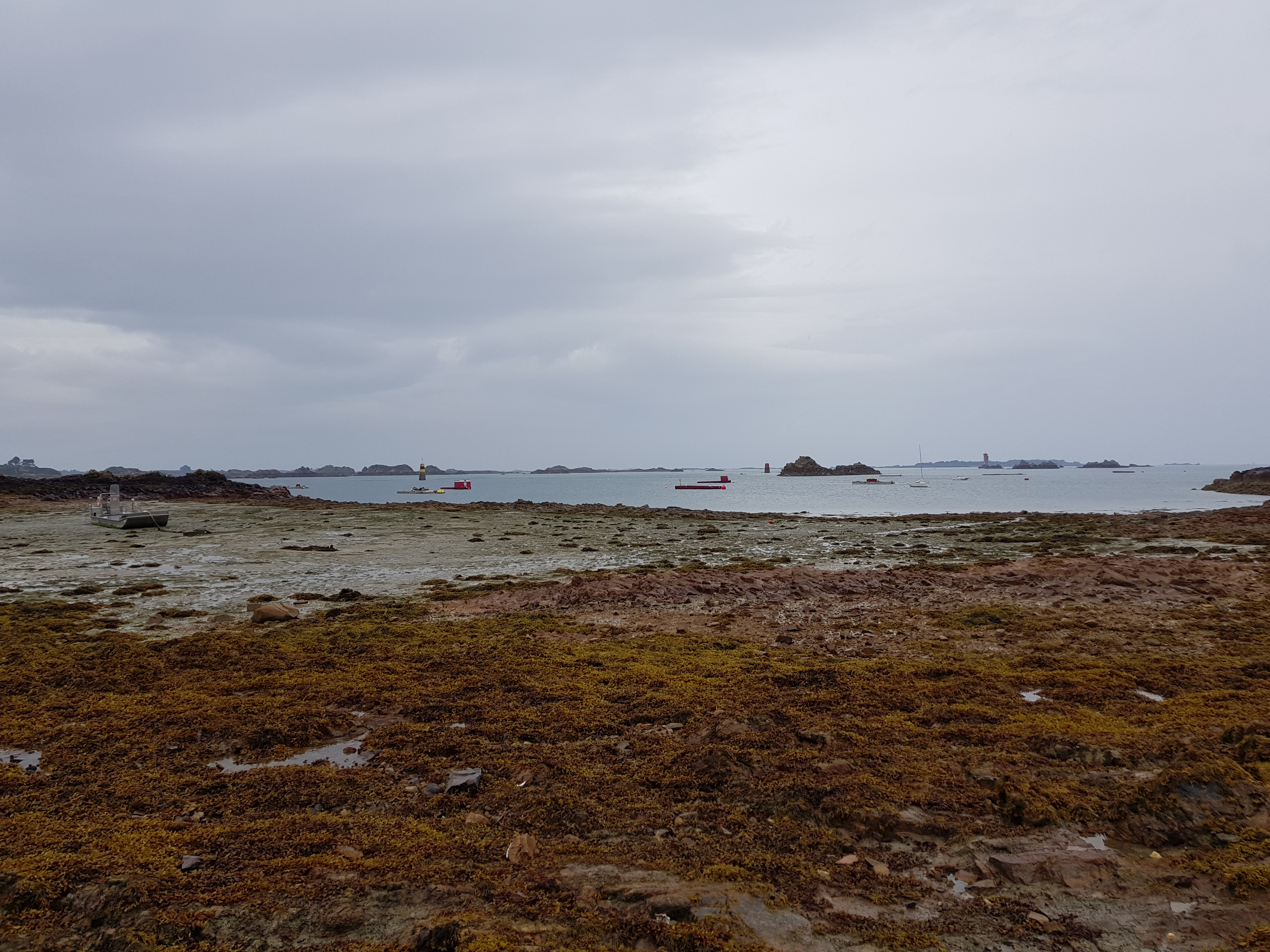 Photo n° 26 de l'avis de romain.a fait le 14/08/2018 à 21:18