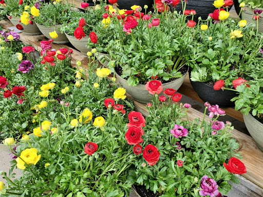 Supermarket «Hy-Vee», reviews and photos, 4605 Fleur Dr, Des Moines, IA 50321, USA