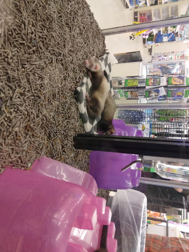 Pet Supply Store «Pet Supplies Plus», reviews and photos, 425 Water St, Chardon, OH 44024, USA