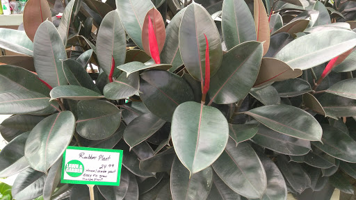 Hardware Store «Hagan Ace Hardware», reviews and photos, 6567 US-90, Glen St Mary, FL 32040, USA