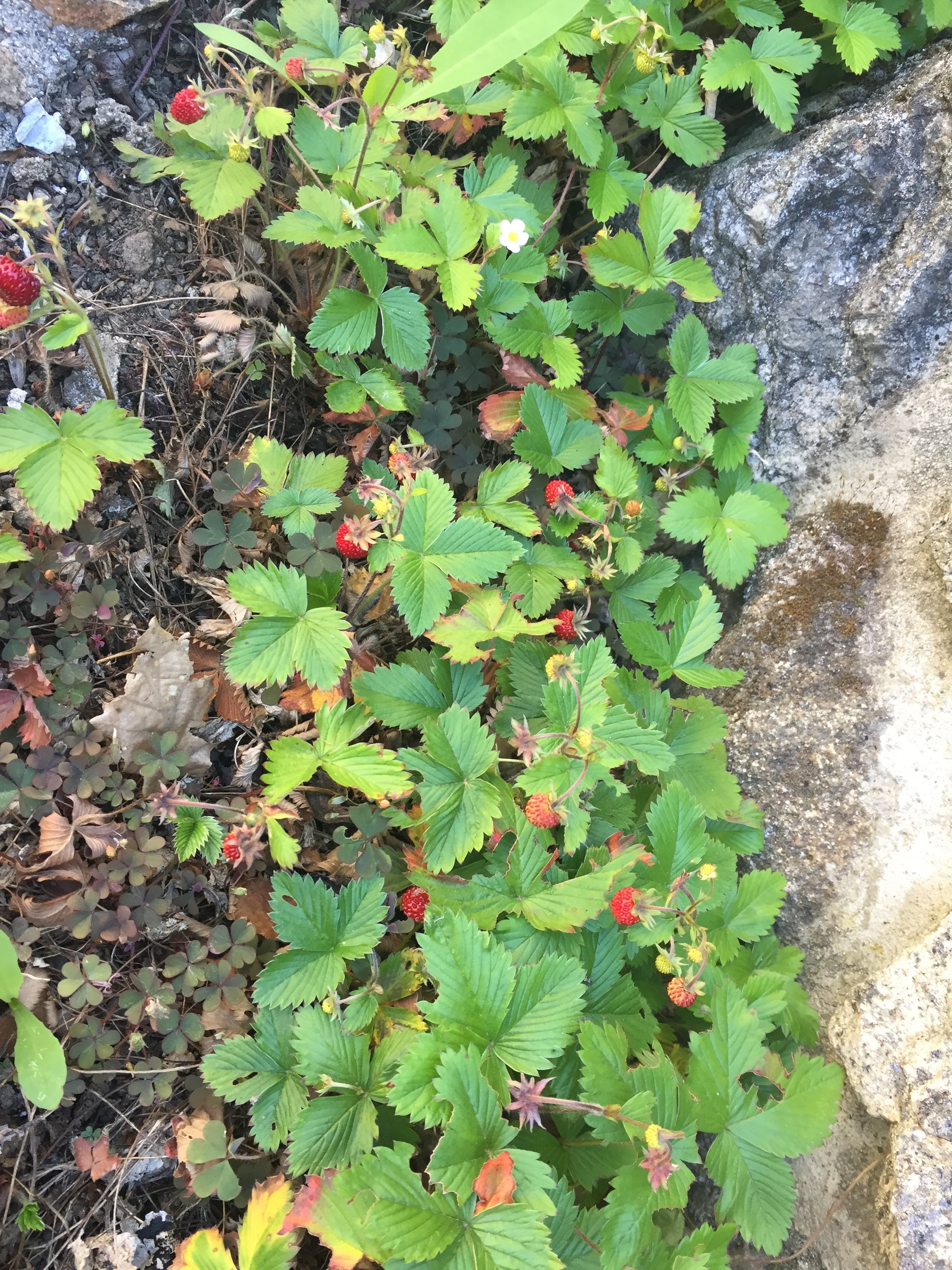 Photo n° 19 de l'avis de Catherine.o fait le 27/05/2019 à 05:25
