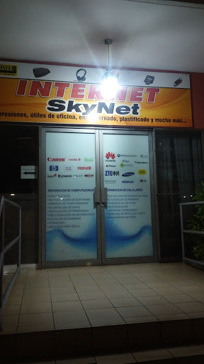 Skynet Internet