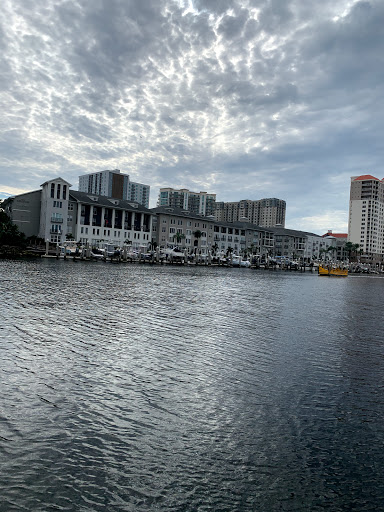 Museum «Tampa Bay History Center», reviews and photos, 801 Old Water St, Tampa, FL 33602, USA