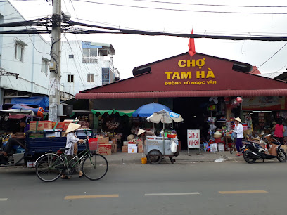 353 Tô Ngọc Vân, Tam Phú, Thủ Đức, TPHCM