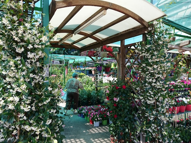 Σχόλια και κριτικές για το Φυτώριο Νησιώτης