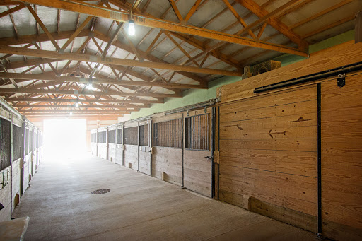 Horse Boarding Stable «Crown Haven Center», reviews and photos, 5282 County Rd W 250 S, Russiaville, IN 46979, USA