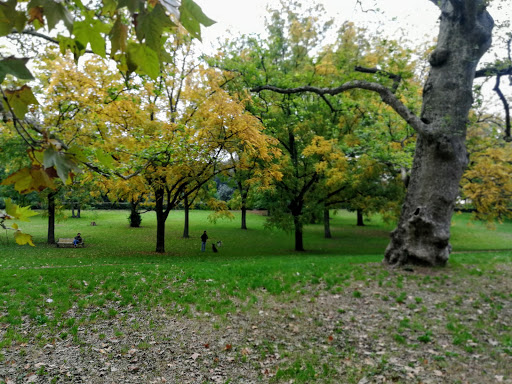 Area Cani Villa Borghese