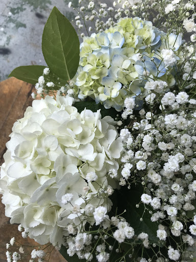 Florist «Flowers and Services», reviews and photos, 13750 Biscayne Blvd, North Miami Beach, FL 33181, USA