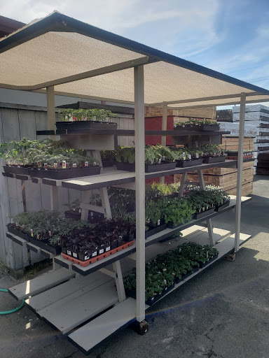 Hardware Store «Big B Lumber», reviews and photos, 6600 Brentwood Blvd, Brentwood, CA 94513, USA