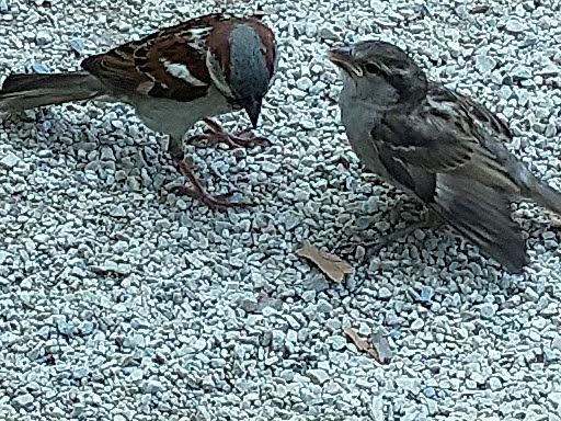 National Park «Castle Clinton National Monument», reviews and photos, Battery Park, New York, NY 10004, USA