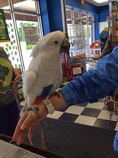 Pet Store «The Pet Place», reviews and photos, 240 Shadowline Dr, Boone, NC 28607, USA