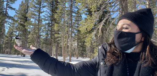 Tahoe Snowshoe Tours DOT COM image