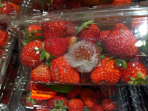 Supermarket «Stop & Shop», reviews and photos, 800 F Denow Rd, Pennington, NJ 08534, USA