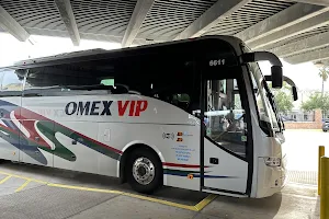 Omnibus Express image