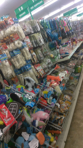 Dollar Store «Dollar Tree», reviews and photos, 1118 Avenue of the States, Chester, PA 19013, USA