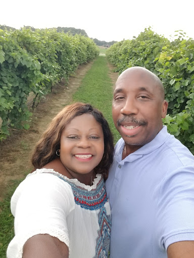 Vineyard «Romano Vineyard & Winery», reviews and photos, 15715 Bald Eagle School Rd, Brandywine, MD 20613, USA