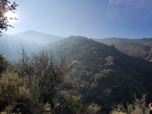 Live Music Venue «Concord Pavilion», reviews and photos, 2000 Kirker Pass Rd, Concord, CA 94521, USA